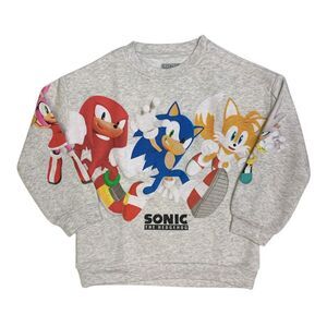 Boy's Long Sleeve Licensed Character Soft Fleece Crewneck Sweatshirt - Sonic